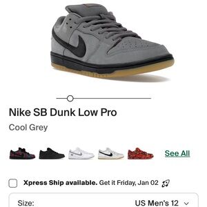 Nike SB Dunk Low Pro Gray and Black Sneakers
